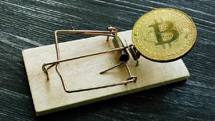 Россиянка потеряла 6,3 млн в криптовалютной схеме