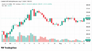 Курс ZEC превысил отметку в 500 долларов: благодаря дневному росту на 4,3 % XMR еще больше отстает