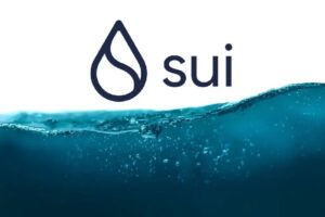 Сеть Sui Blockchain представляет новую функцию инфраструктуры, ориентированную на конфиденциальность! Вот подробности