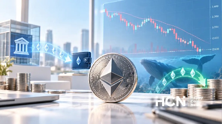 Снижение цены эфириума до $2,600 повысило активность криптокитов