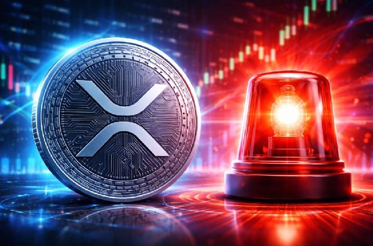 Внимание инвесторам XRP! Бывший технический директор Ripple Дэвид Шварц предупреждает: «Опасность серьезная и существенная!»